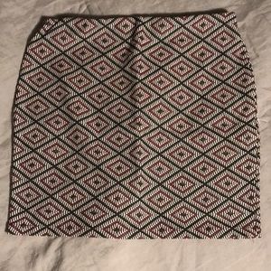 Zara Elastic Waist Skirt